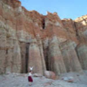 Meet your Posher, Naomi